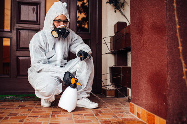 Reliable Cockroach Control contractor in Lexington, MO by Nex Pest Control
